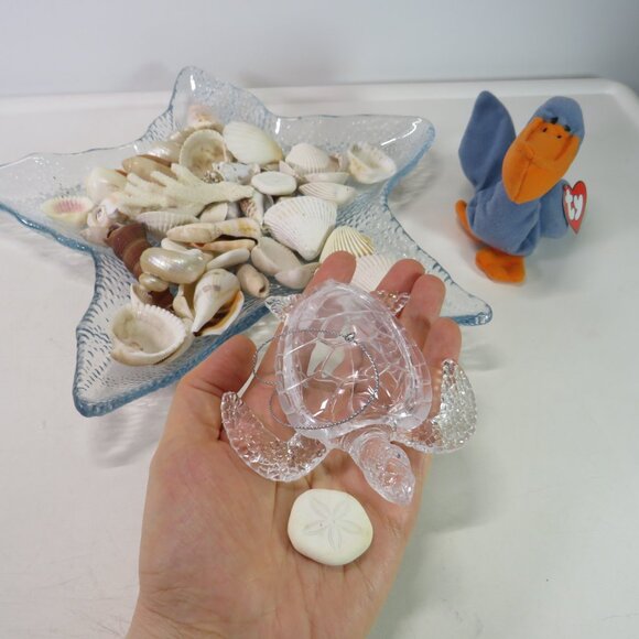 sea shells, acrylic sea turtle, TY Scoop pelican collection - Picture 1 of 13